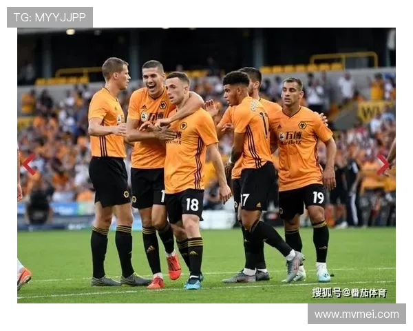 狼队一半积分来自前六强 超越车刺等12队