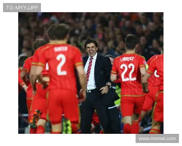 波黑官方：附加赛对意门票售罄